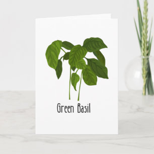 Carte Herbe Basil Spices