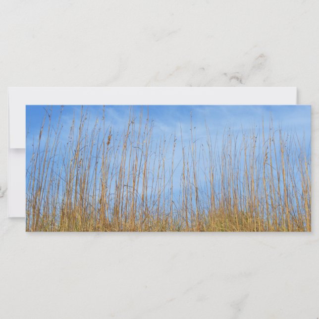 Carte Herbe de plage par Shirley Taylor (Devant)