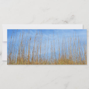 Carte Herbe de plage par Shirley Taylor