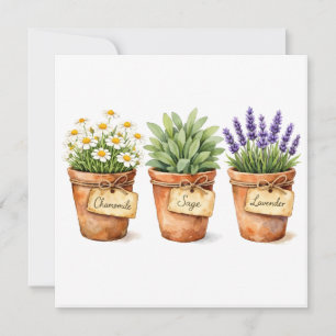 Carte Herbes à l'aquarelle poussant dans les pots