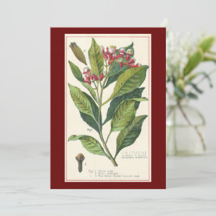 Carte Herbes Épices Alimentaires Anciens, Clous de Girof