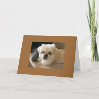 Carte Hercule sur le divan