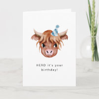 Herd C'est ton anniversaire vache Highland
