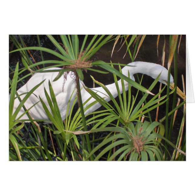 Carte Heron (Devant horizontal)