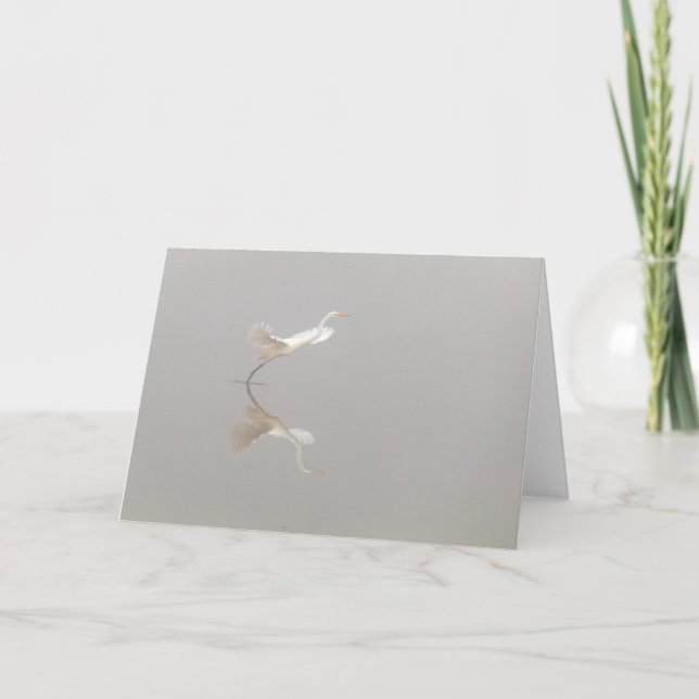 Carte Héron blanc décolle Zen (Devant)