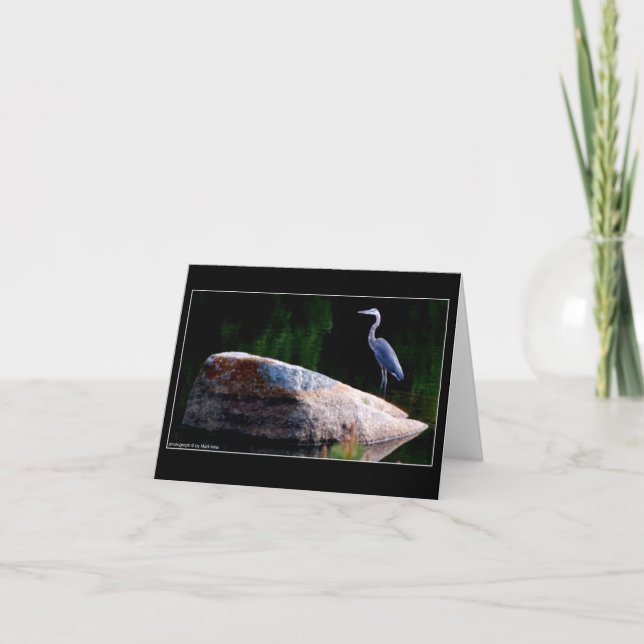 Carte Héron de grand bleu (Devant)