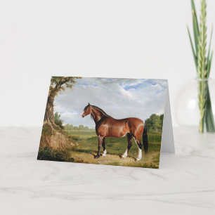 Carte Herring - Un Stallion Clydesdale,