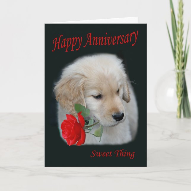 Carte heureuse d'anniversaire de chiot de golden (Devant)