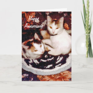 Carte heureuse de chat d'anniversaire