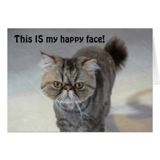Carte heureuse de chat de visage