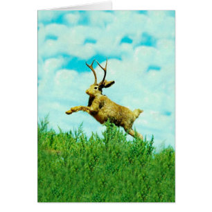 Carte heureuse de Jackalope