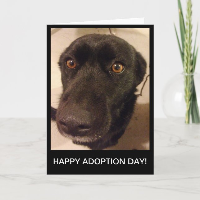 Carte heureuse de jour d'adoption de chien triste (Devant)