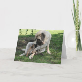Carte heureuse de mastiff de papa de jour de