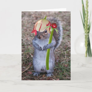 Carte heureuse de ressort de Squirel de ressort