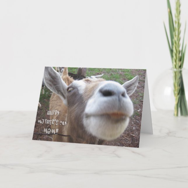 Carte heureuse du jour de mère de la chèvre (Devant)