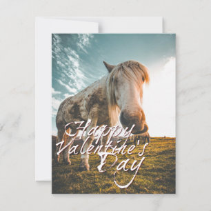 Carte Heureuse Sainte-Valentin avec regard Cheval