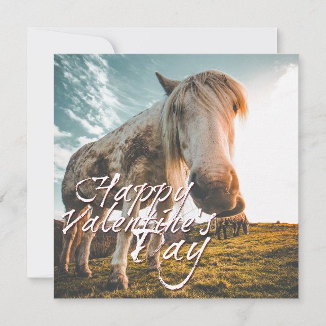 Carte Heureuse Sainte-Valentin avec regard Cheval (Devant)