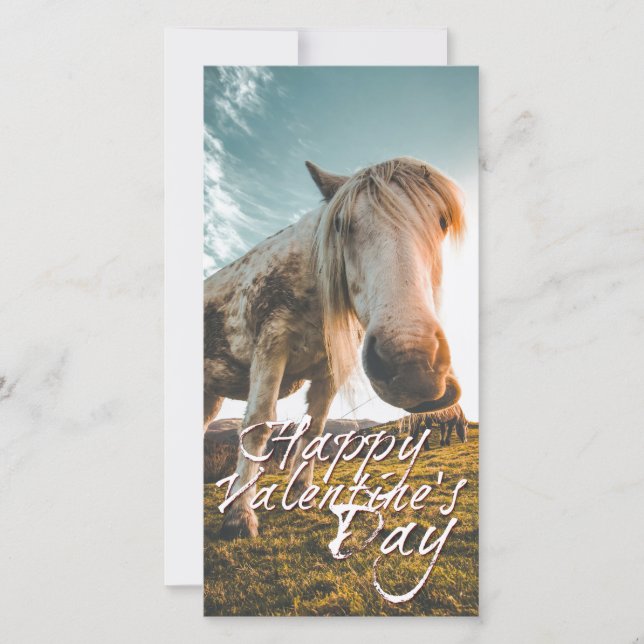 Carte Heureuse Sainte-Valentin avec regard Cheval (Devant)