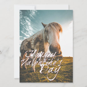 Carte Heureuse Sainte-Valentin avec regard Cheval