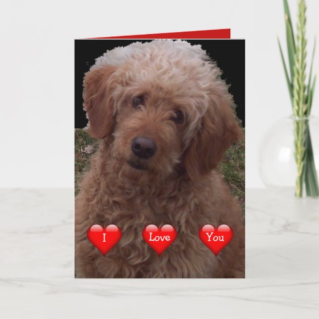 Carte Heureuse Sainte-Valentin - Chien coupé dans le mon (Devant)