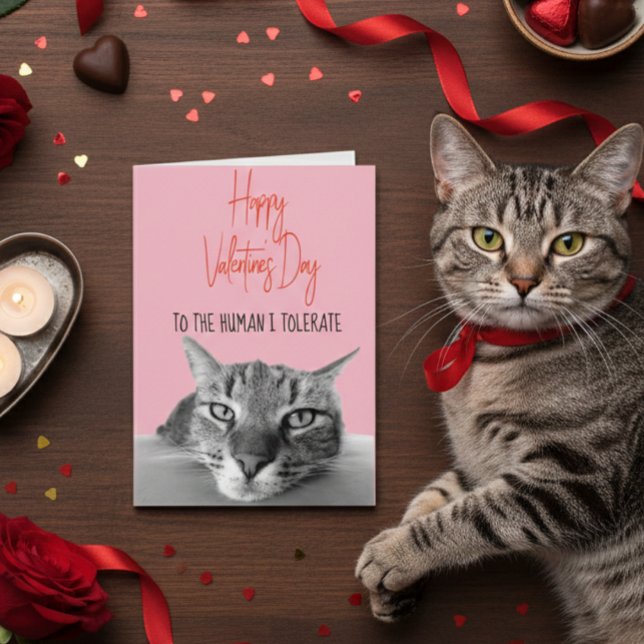 Carte Heureuse Sainte-Valentin De Chat À Humain Drôle (Créateur téléchargé)