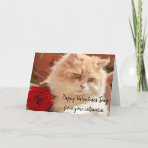 Carte Heureuse Sainte-Valentin De Votre Chat Catsonova