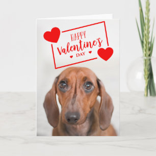 Carte Heureuse Sainte-Valentin   Sweet Dachshund Puppy