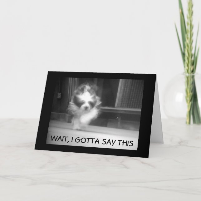 Carte HEUREUX **13e ANNIVERSAIRE** DIT COOL SHEEPDOG (Devant)