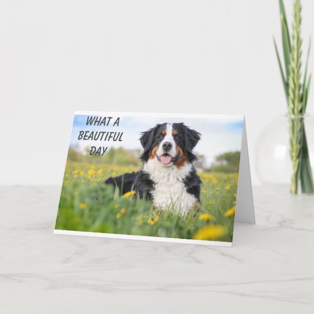 Carte HEUREUX **16ème** ANNIVERSAIRE DITES HEUREUX CHIEN (Devant)