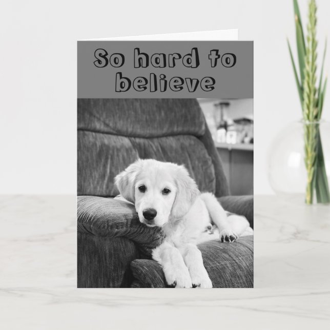 Carte HEUREUX ***70ème*** ANNIVERSAIRE DE CUTE PUP (Devant)