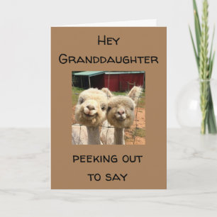 CARTE HEUREUX *ANNIVERSAIRE* **GRAND-FILLE**