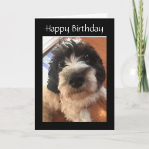 CARTE HEUREUX *ANNIVERSAIRE* VOUS FAITES MON TAIL WAG