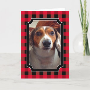 Carte Heureux chien