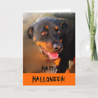 CARTE HEUREUX HALLOWEEN !