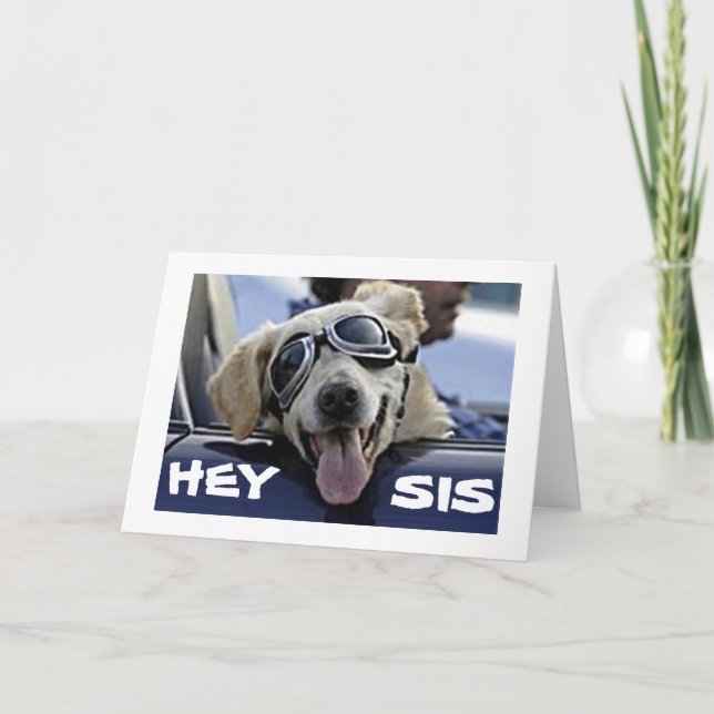 CARTE HEY ***SIS*** ONT UN ANNIVERSAIRE COOL DU CHIEN CO (Devant)