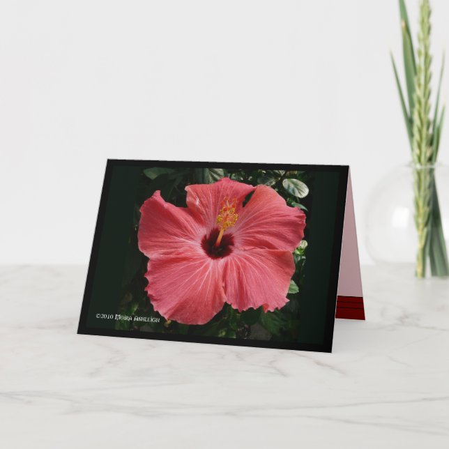 Carte Hibiscus du corail (Devant)