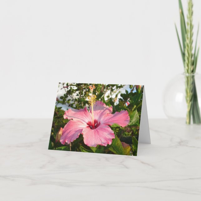 Carte Hibiscus - L (Devant)