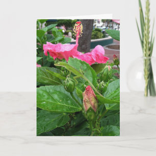 Carte Hibiscus rose Tropical Fleur Camouflée Lizard