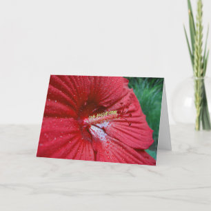 Carte Hibiscus Rouge Avec Arrosage