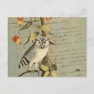 Carte hibou