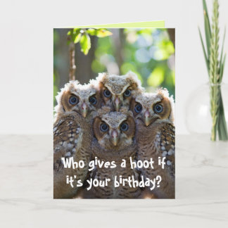Carte Hibou 