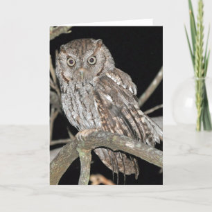 Carte Hibou de cri strident