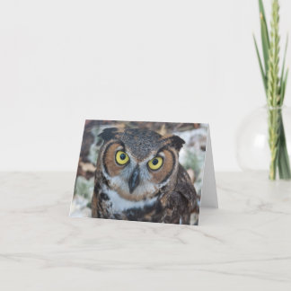 Carte Hibou de cri strident