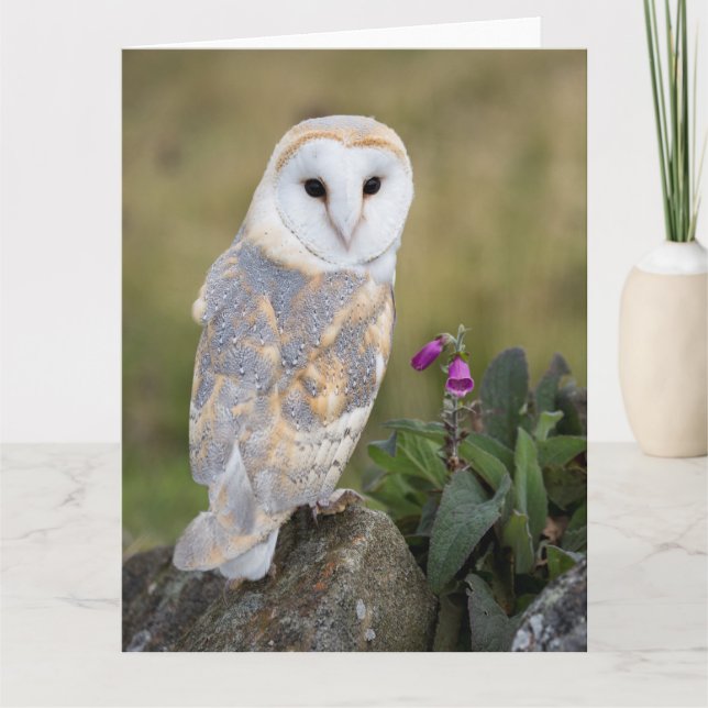 Carte Hibou et digitale de grange (Devant)