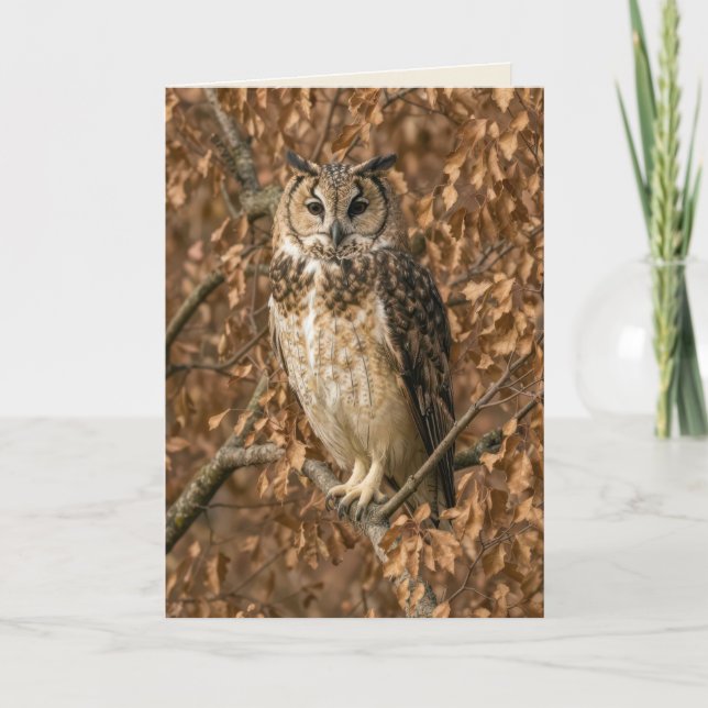 Carte Hibou moyen-duc humour d'anniversaire (Devant)