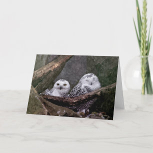Carte Hiboux mignons
