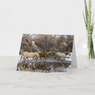 Carte Hideout Horse Ranch