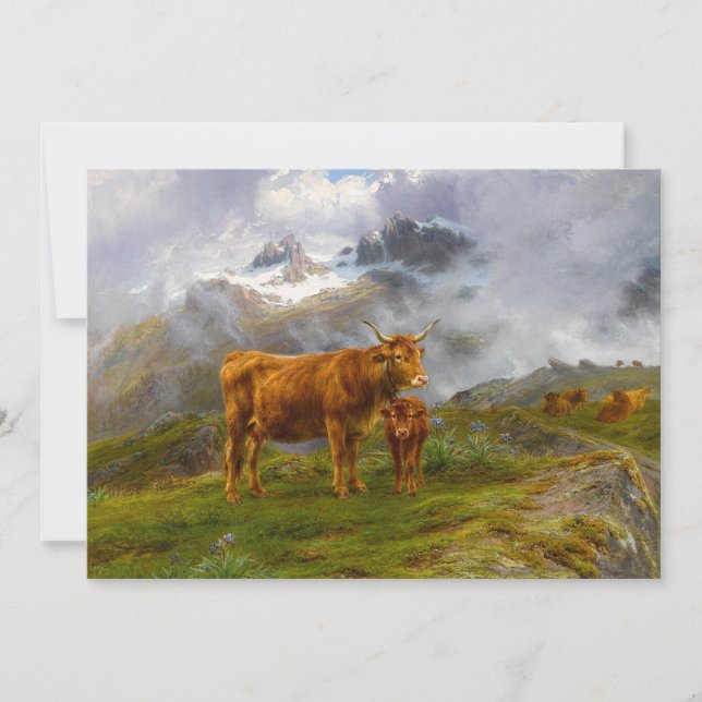 Carte Highland Cattle | Rosa Bonheur (Devant)