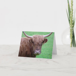 Carte Highland Cow