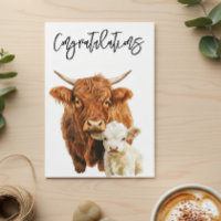 Highland vaches and Baby Félicitations